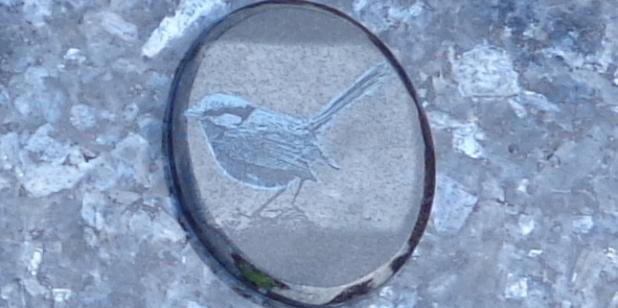 Laser etching from J.H. Wagner & Sons, Blue Wren image
